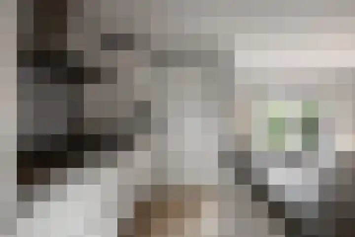 Zandburen 21 Hippolytushoef thumbnail 12
