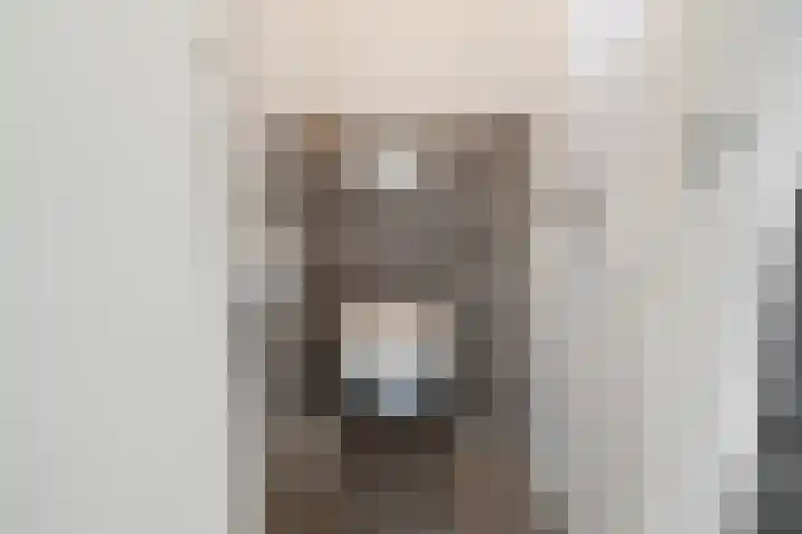 Zandburen 21 Hippolytushoef thumbnail 13