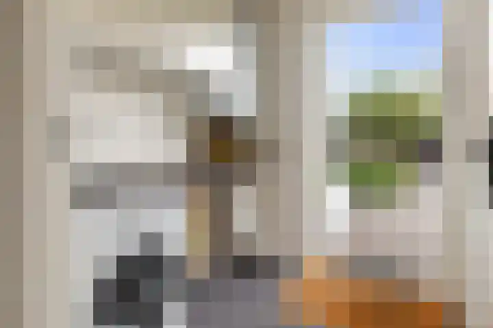 Zandburen 21 Hippolytushoef thumbnail 14