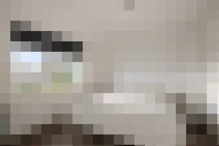 Zandburen 21 Hippolytushoef thumbnail 15