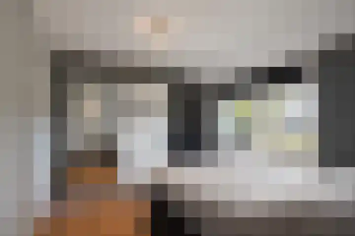 Zandburen 21 Hippolytushoef thumbnail 17