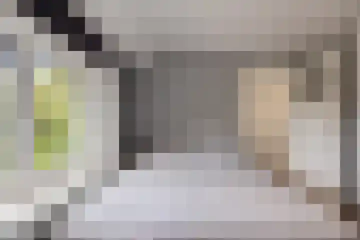 Zandburen 21 Hippolytushoef thumbnail 18