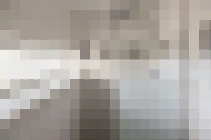Zandburen 21 Hippolytushoef thumbnail 22