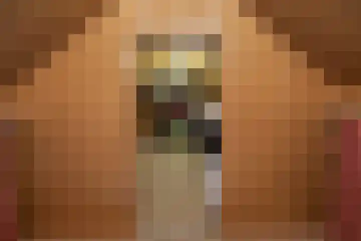 Zandburen 21 Hippolytushoef thumbnail 23