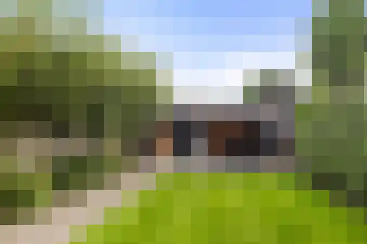 Zandburen 21 Hippolytushoef thumbnail 26