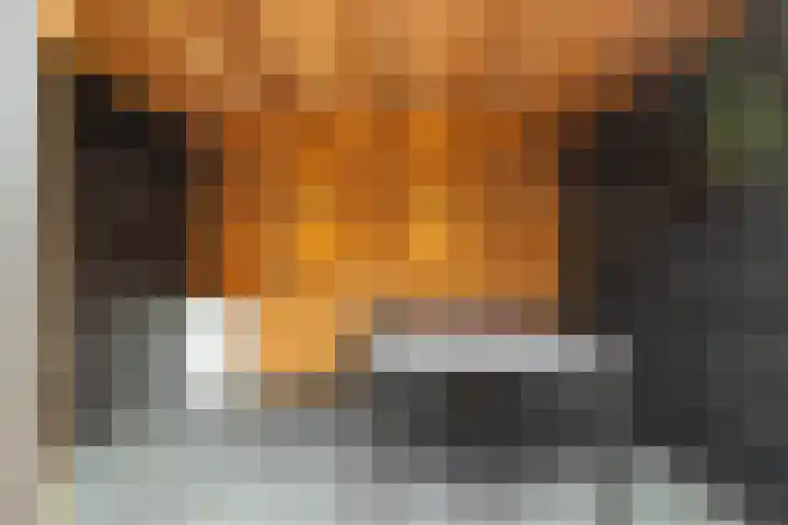 Zandburen 21 Hippolytushoef thumbnail 28