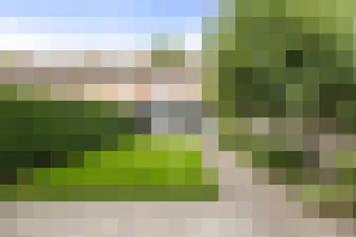 Zandburen 21 Hippolytushoef thumbnail 29