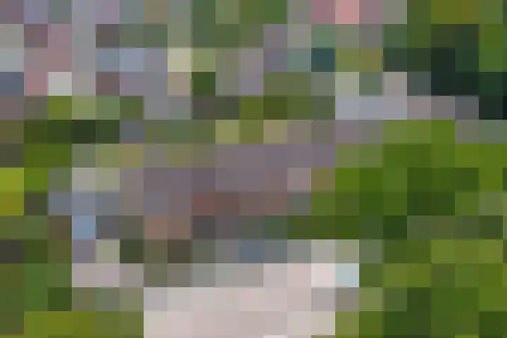 Zandburen 21 Hippolytushoef thumbnail 30