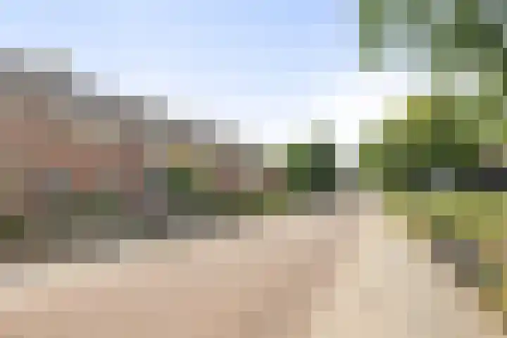 Zandburen 21 Hippolytushoef thumbnail 31