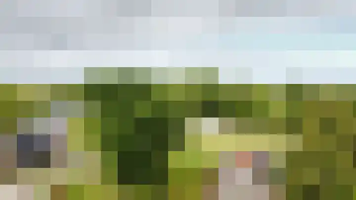 Zandburen 21 Hippolytushoef thumbnail 32