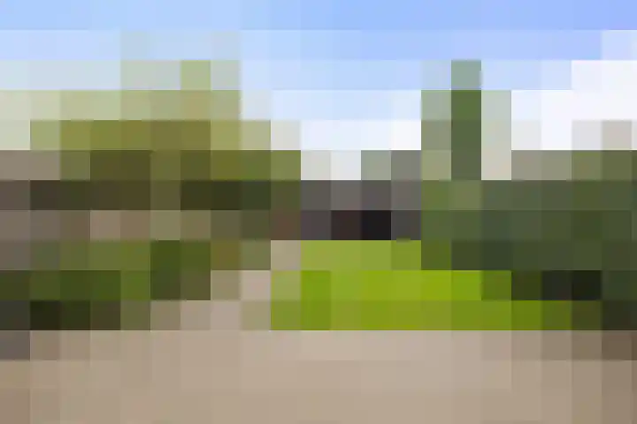 Zandburen 21 Hippolytushoef thumbnail 4