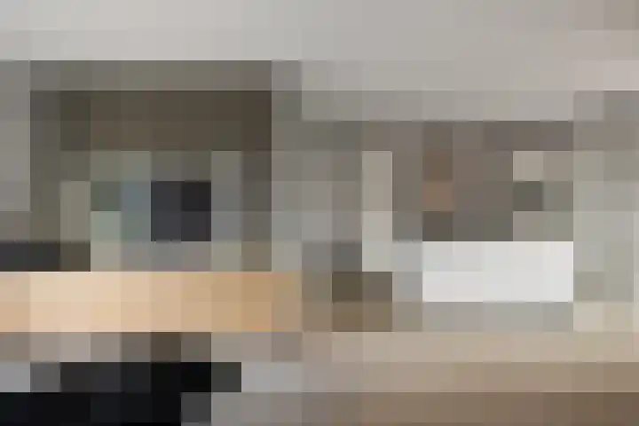 Zandburen 21 Hippolytushoef thumbnail 6