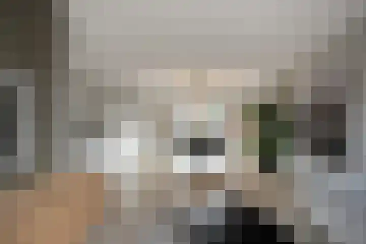 Zandburen 21 Hippolytushoef thumbnail 7