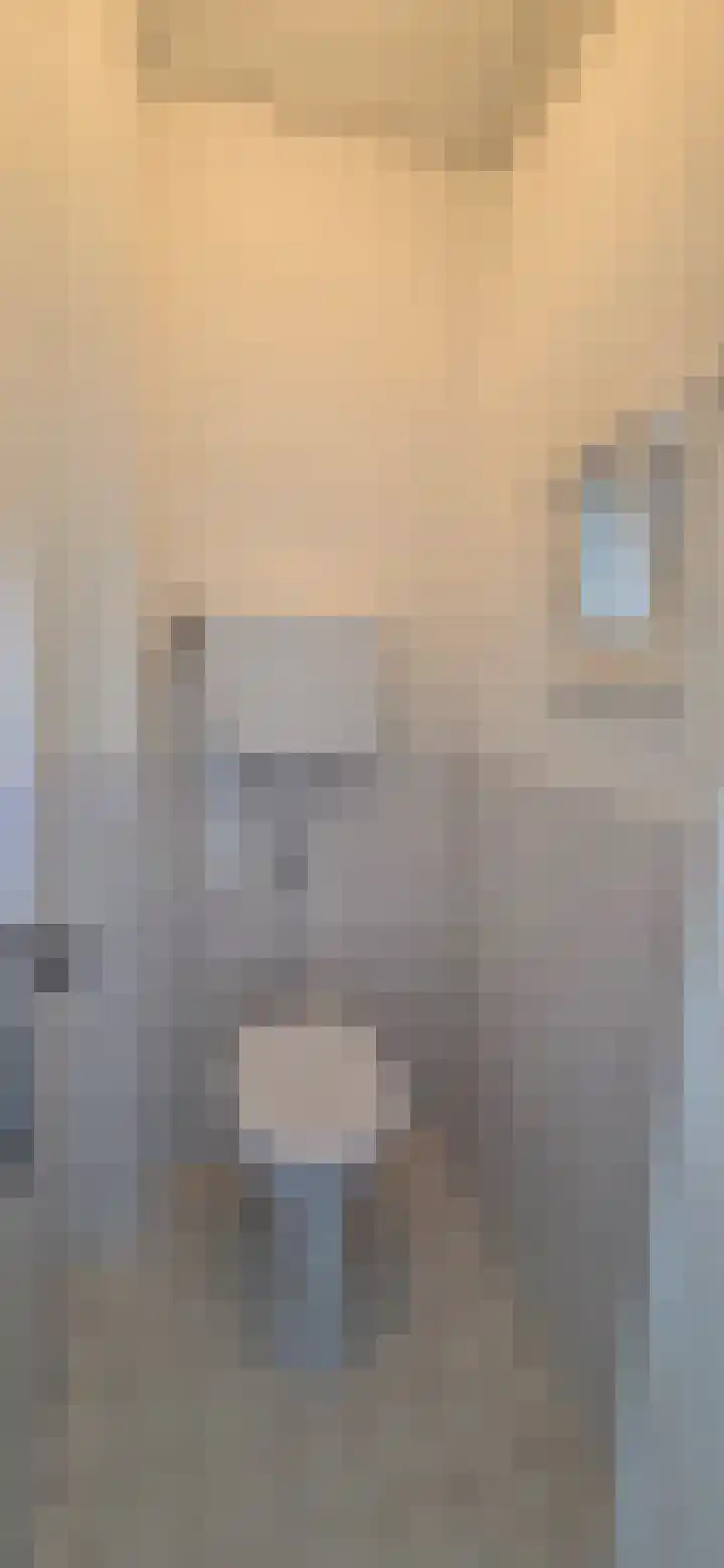 Zandburen 23 Hippolytushoef thumbnail 10