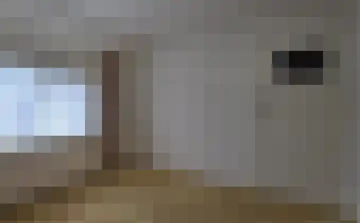 Zandburen 23 Hippolytushoef thumbnail 13