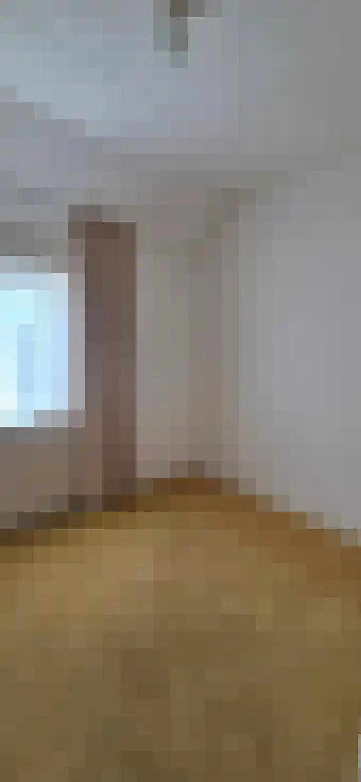 Zandburen 23 Hippolytushoef thumbnail 14