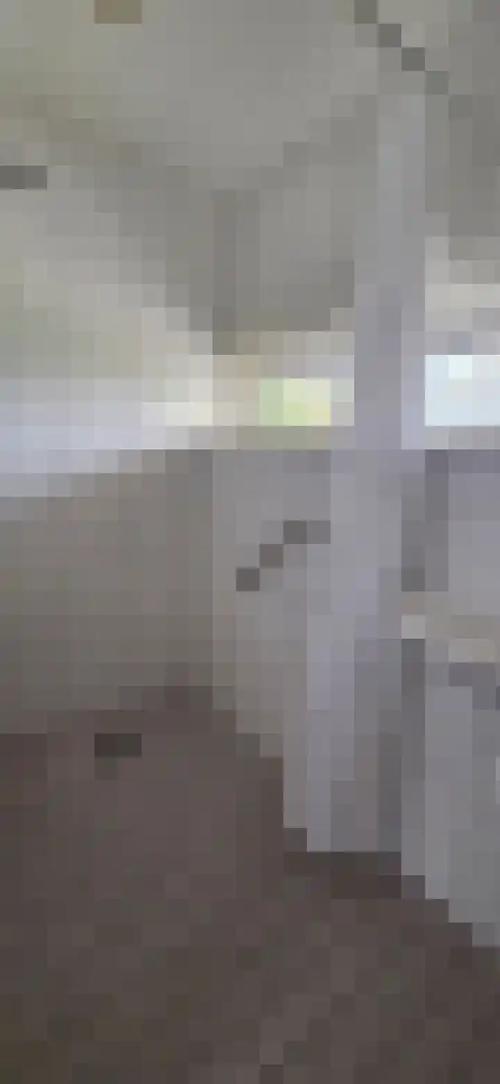 Zandburen 23 Hippolytushoef thumbnail 16
