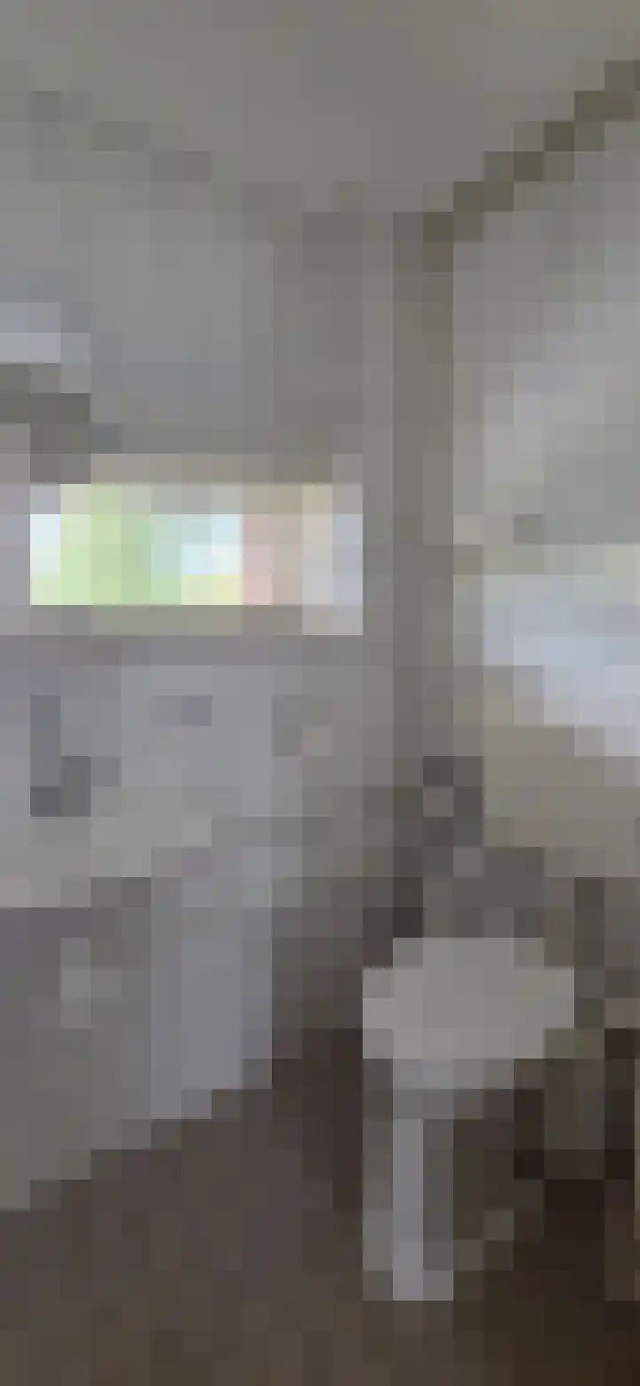 Zandburen 23 Hippolytushoef thumbnail 17