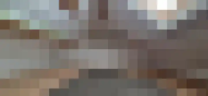 Zandburen 23 Hippolytushoef thumbnail 21