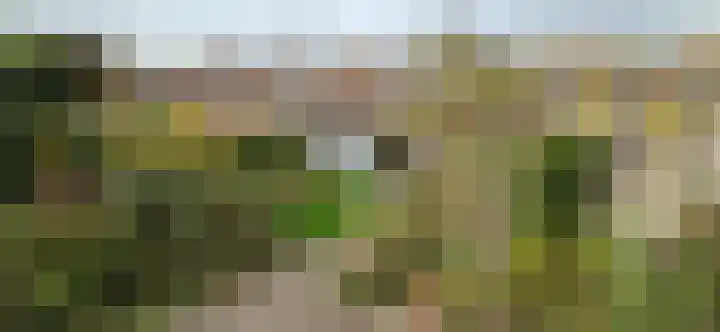 Zandburen 23 Hippolytushoef thumbnail 23