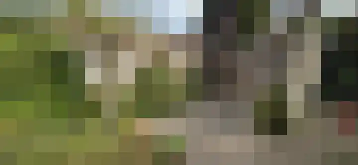 Zandburen 23 Hippolytushoef thumbnail 24