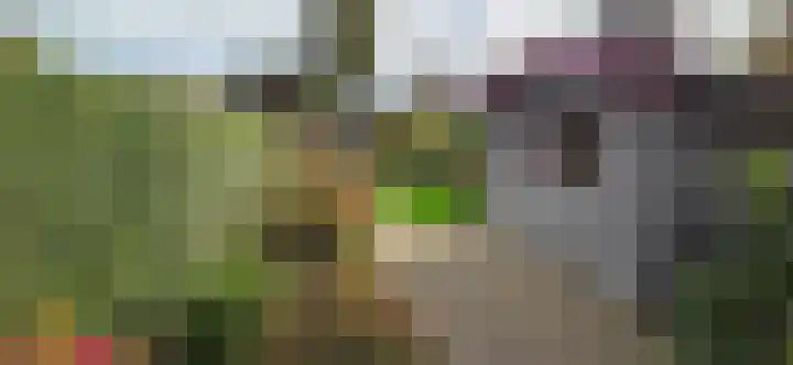 Zandburen 23 Hippolytushoef thumbnail 26