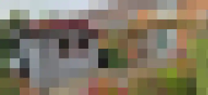 Zandburen 23 Hippolytushoef thumbnail 27