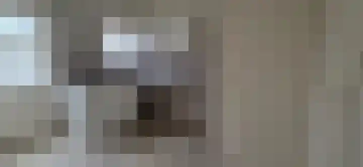 Zandburen 23 Hippolytushoef thumbnail 6
