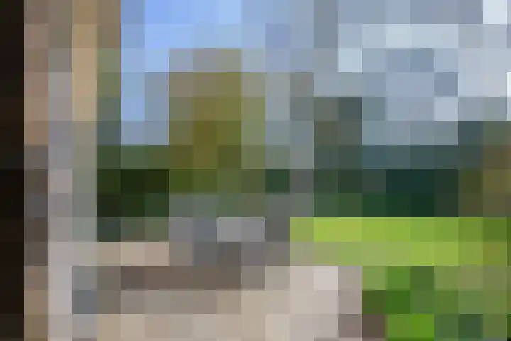 Zanddijk 104 De Cocksdorp thumbnail 29