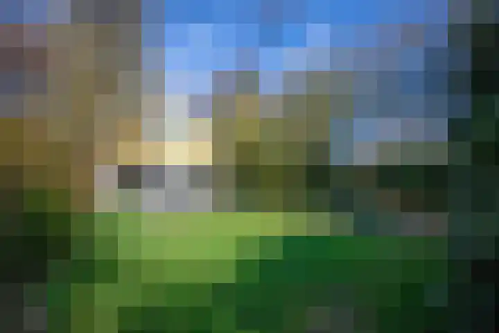 Zanddijk 104 De Cocksdorp thumbnail 33