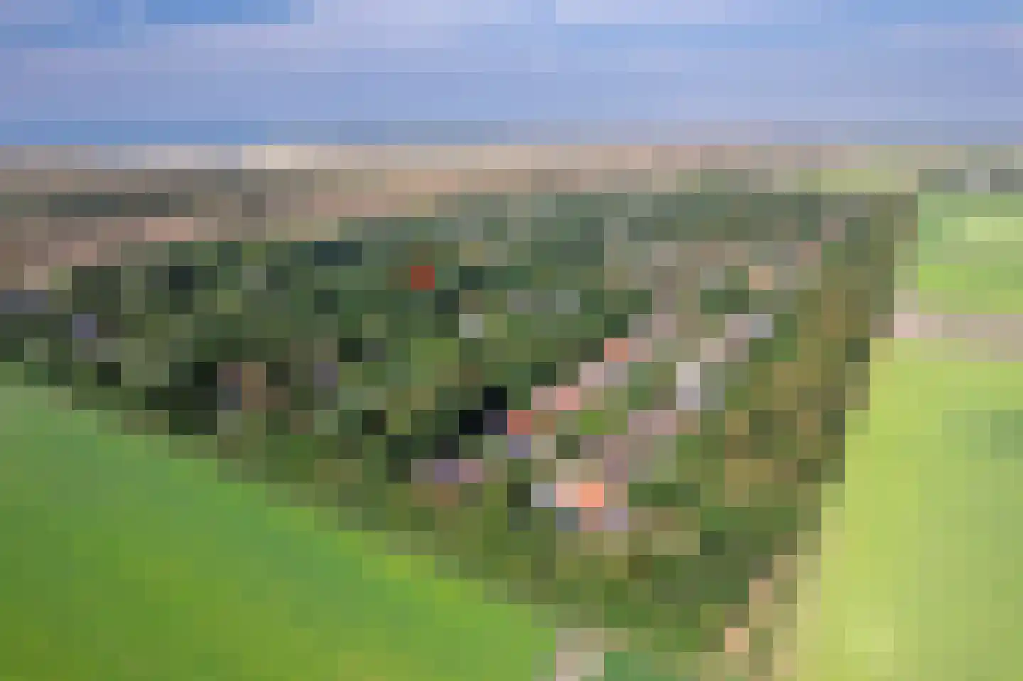 Zanddijk 104 De Cocksdorp thumbnail 34