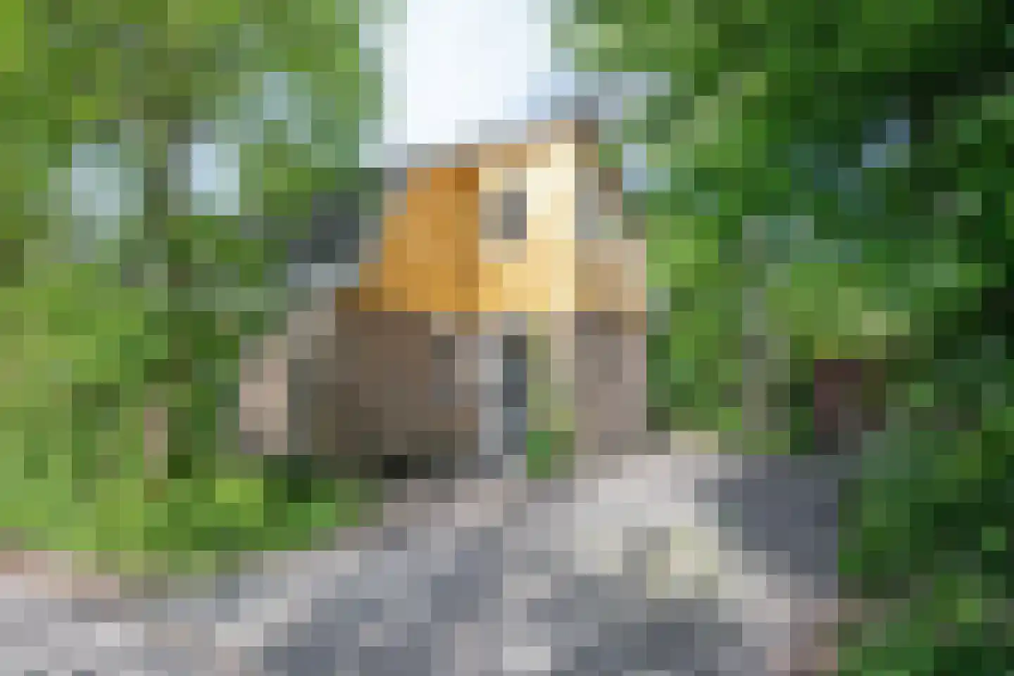 Zanddijk 104 De Cocksdorp thumbnail 4