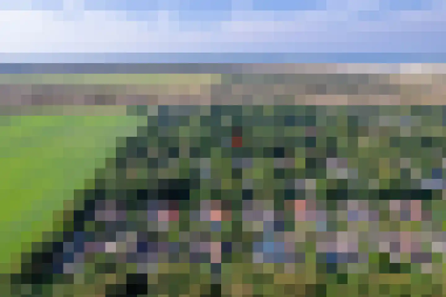 Zanddijk 104 De Cocksdorp thumbnail 5