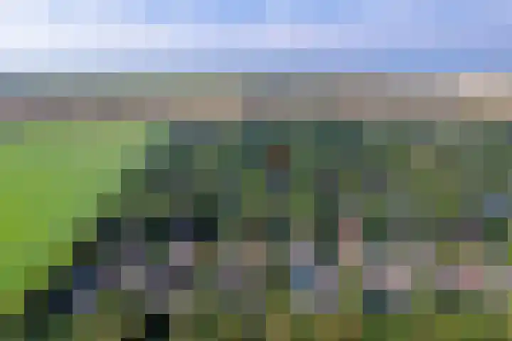 Zanddijk 104 De Cocksdorp thumbnail 5