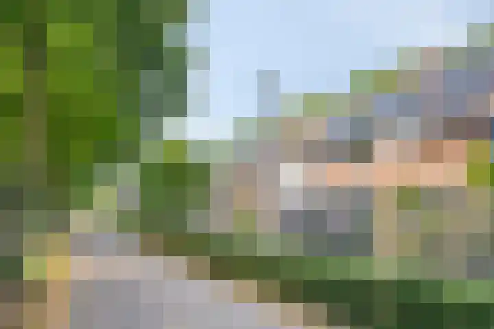 Zanddijk 128 Rozenburg thumbnail 43