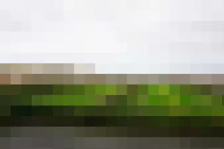 Zanddijk 145 Julianadorp thumbnail 11