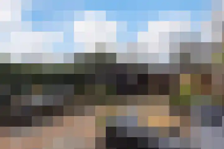 Zanddijk 15 Rozenburg thumbnail 38