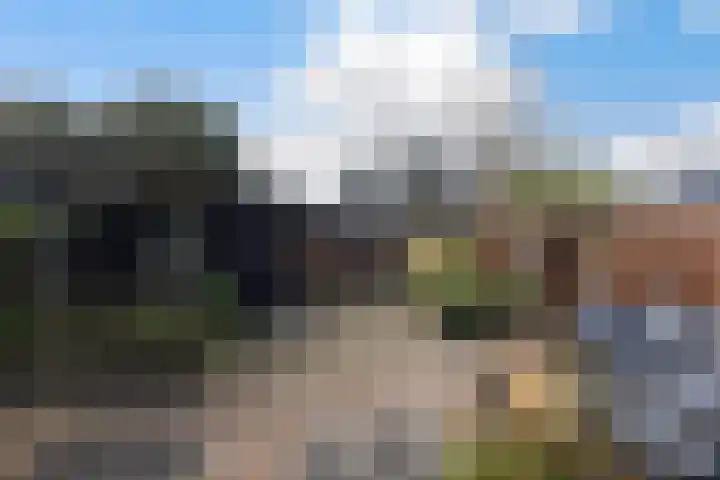 Zanddijk 15 Rozenburg thumbnail 39