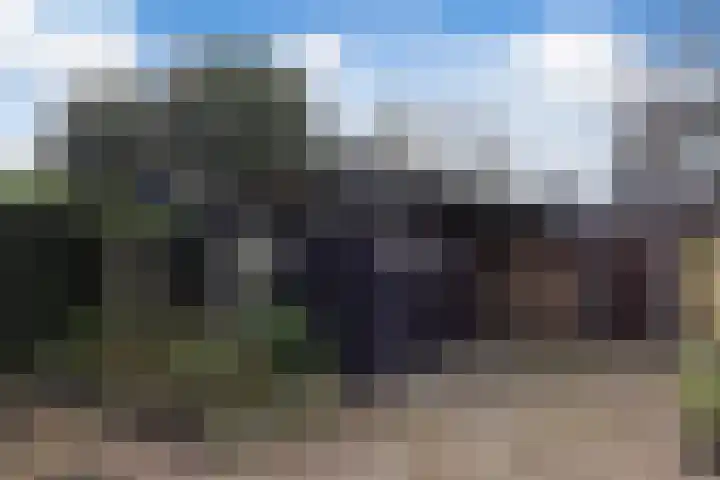 Zanddijk 15 Rozenburg thumbnail 42