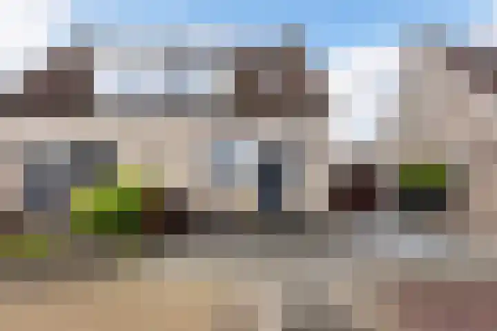 Zanddijk 15 Rozenburg thumbnail 45