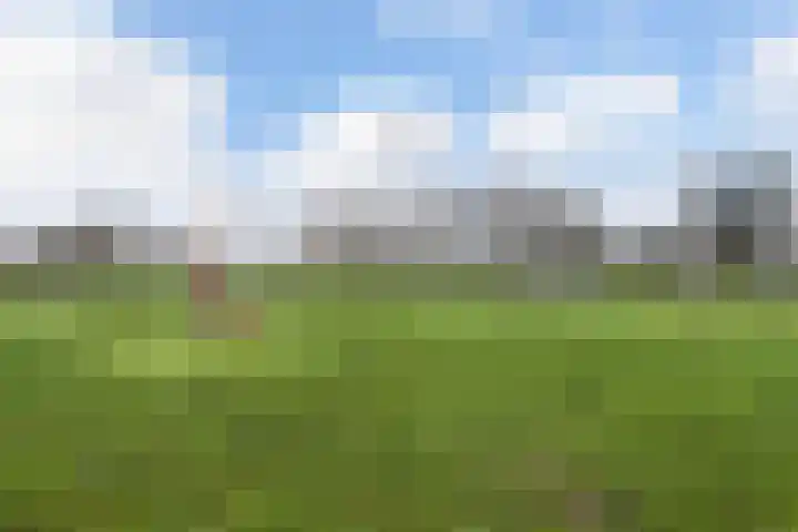 Zanddijk 15 Rozenburg thumbnail 48