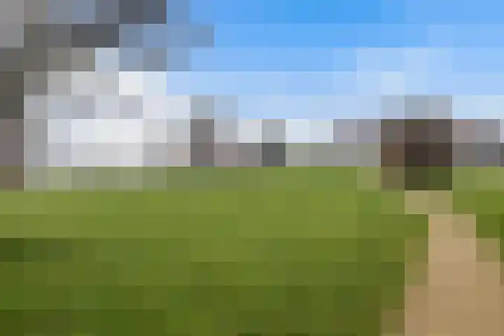 Zanddijk 15 Rozenburg thumbnail 49