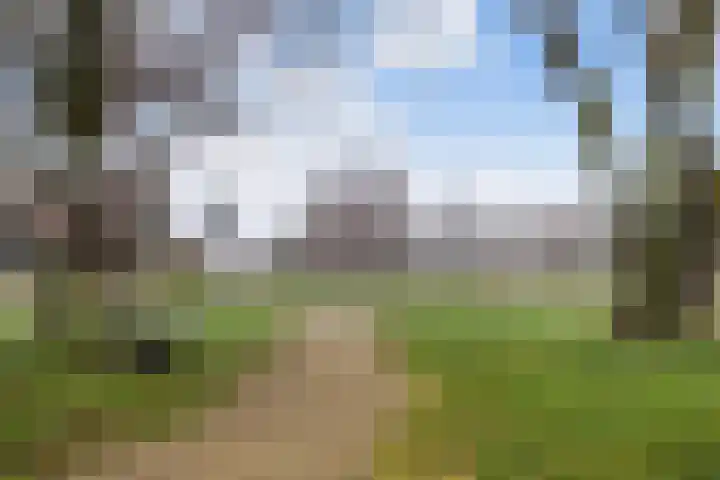 Zanddijk 15 Rozenburg thumbnail 50
