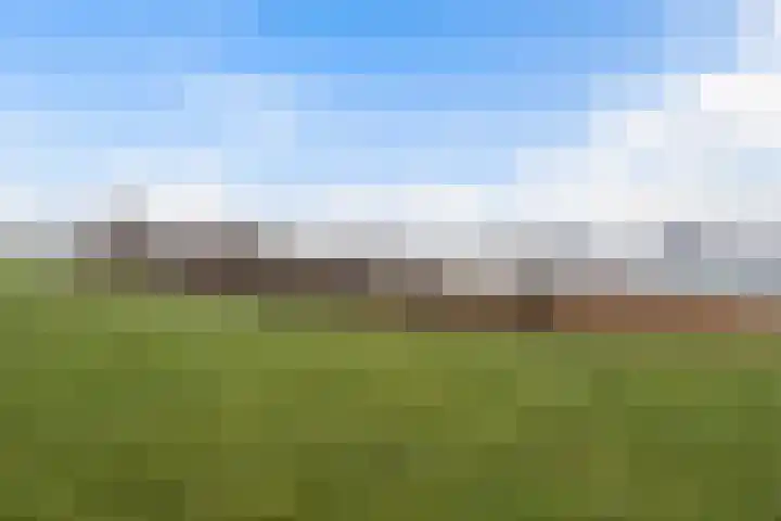 Zanddijk 15 Rozenburg thumbnail 51