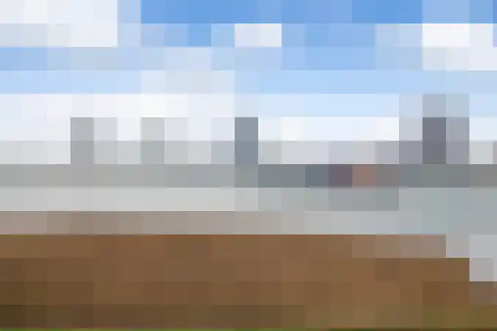 Zanddijk 15 Rozenburg thumbnail 52