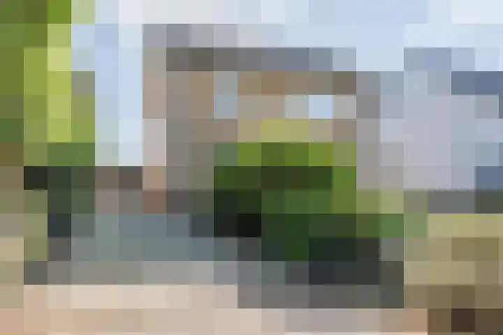 Zanddijk 18 Escharen thumbnail 23