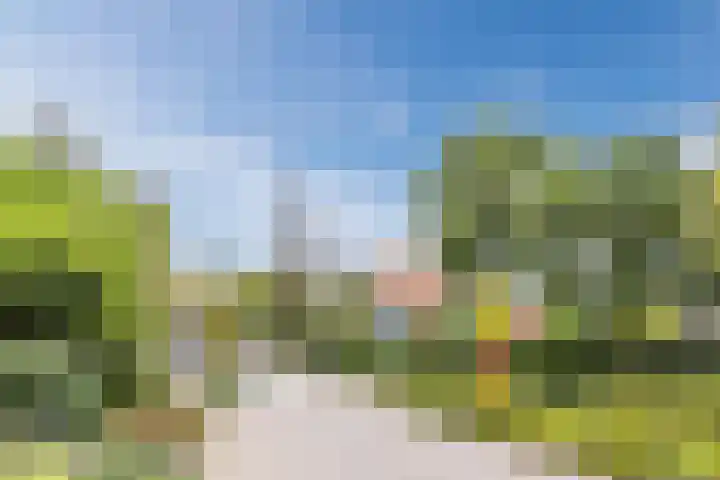 Zanddijk 18 Escharen thumbnail 26