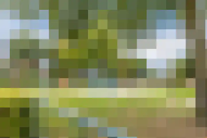 Zanddijk 18 Escharen thumbnail 27