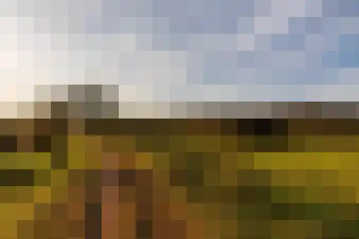 Zanddijk 18 Escharen thumbnail 32