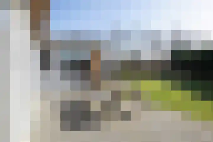 Zanddijk 204 De Cocksdorp thumbnail 17